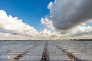 PortaNova-12_original