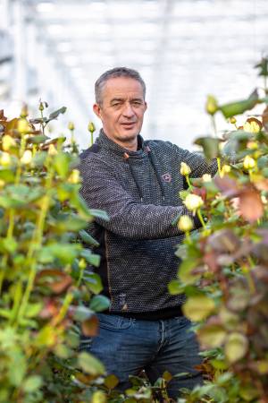 PortaNova-3_original