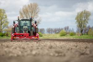 aardappelspoten_original