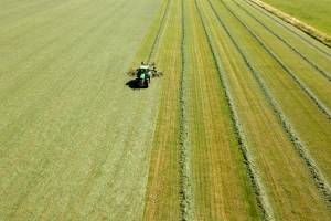 hooi_schudden_original