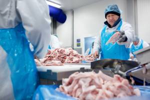 vleesverwerking_original