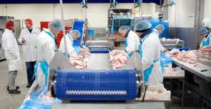 vleeswerkende_industrie_original